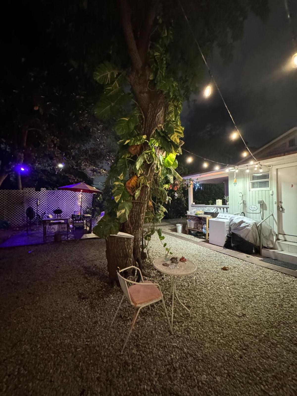 Deluxe Room In Best Location Miami In A 2 Bedrooms Unit - Parking, Laundry And Luggage Storage Esterno foto